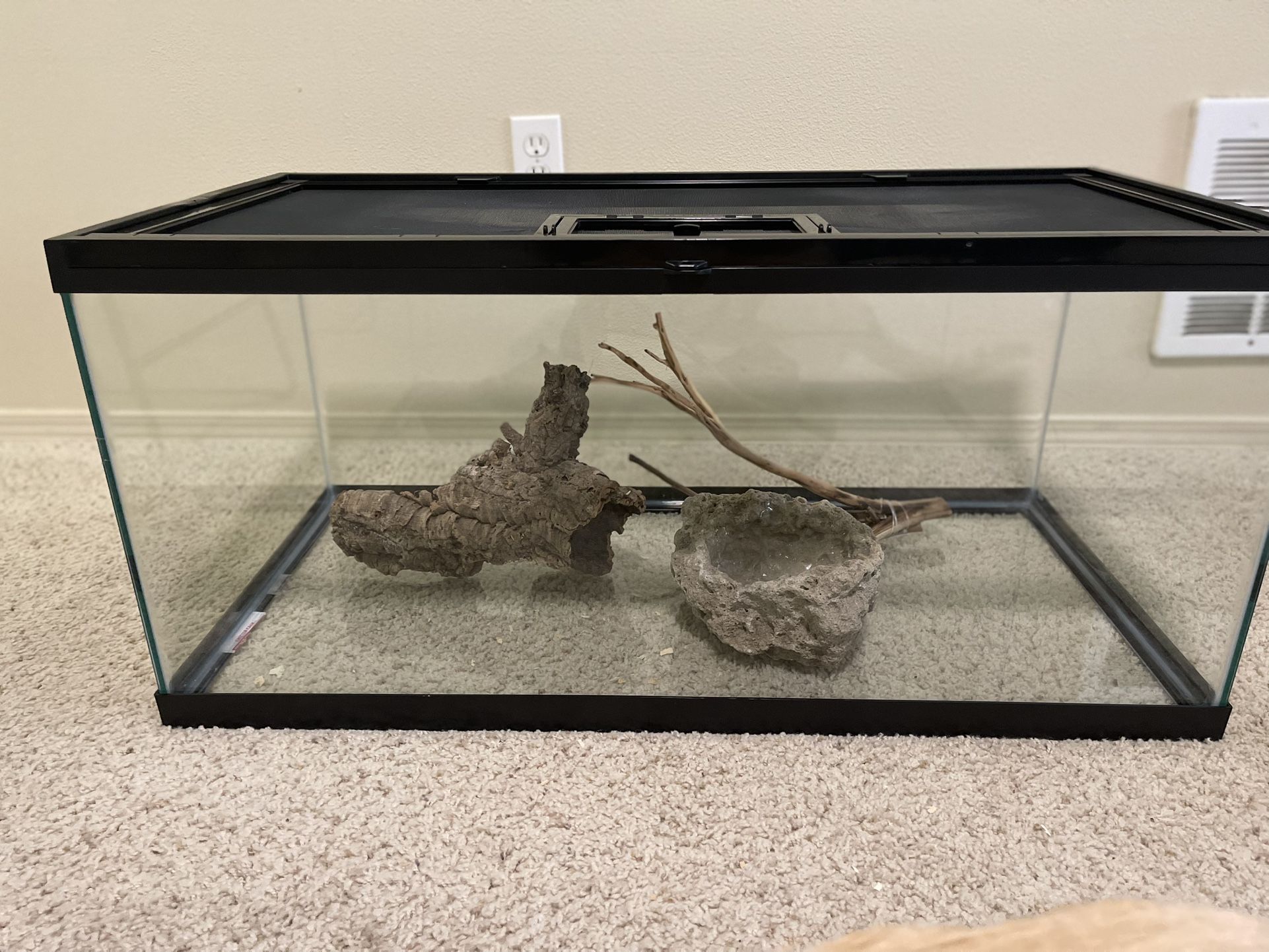 Terrarium for Sale β $100