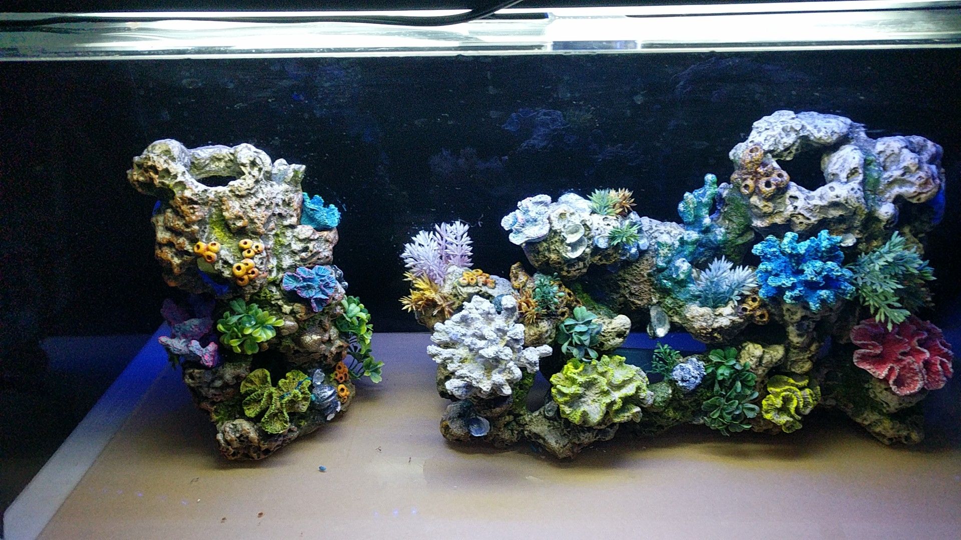 Coral decoration 2 pieces