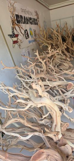 Premium Decorative Driftwood Branches