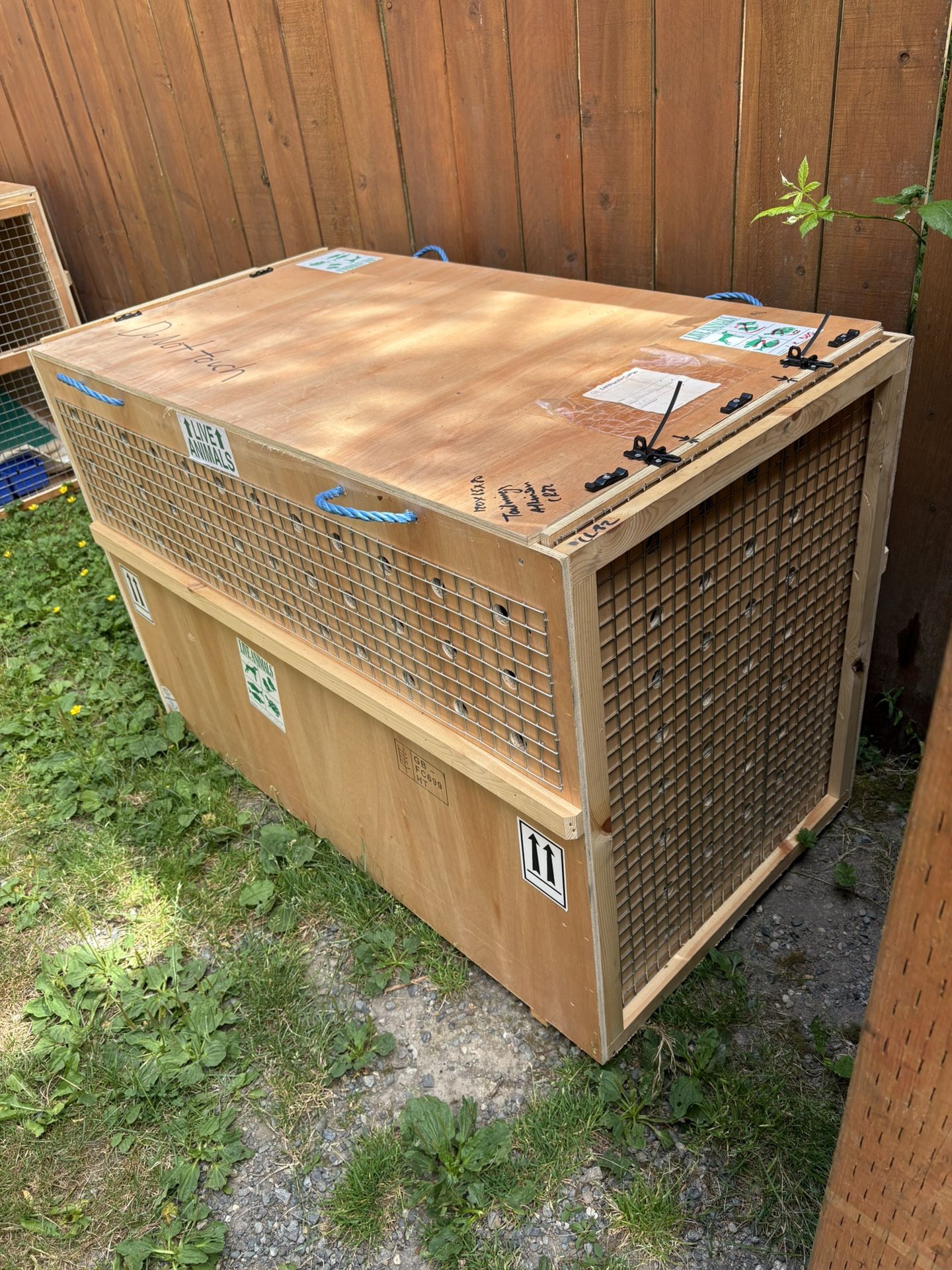 Pet Dog Wood Crate For Airplanes Approved