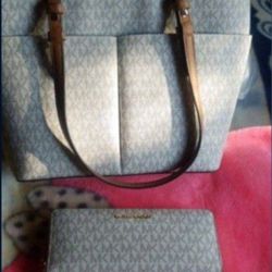 Michael Kors Purse With Wallet 