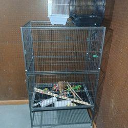 Bird Cages and Toys