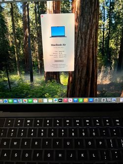 MacBook Air (M4 chip)