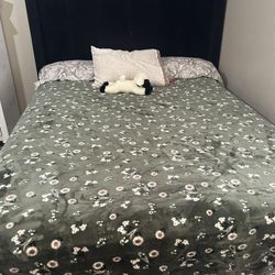 Queen Bed frame 
