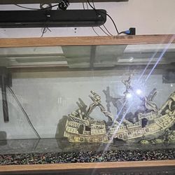 Fish Tank
