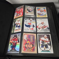FLORIDA PANTHERS UPPER DECK NHL CARDS WITH CARD CASE