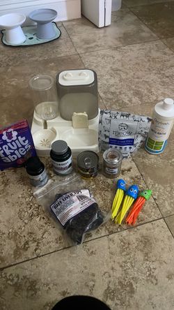 Cat items
