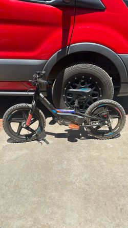 16 inch stacyc