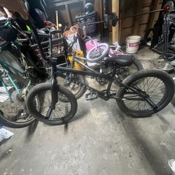 Elite Bmx Stealth Bike Clean 