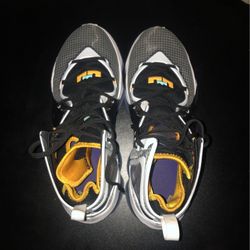 Lebron  19s  Hardwood Classic Size 13