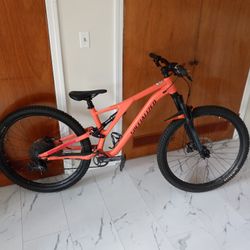2021 Stumpjumper Alloy