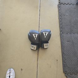  Title Boxing Heavy Bag And Boxing Gloves