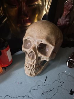 Plastic skull with stainless full finger ring sz 8 maybe 81/2