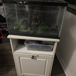 Fish Tank 