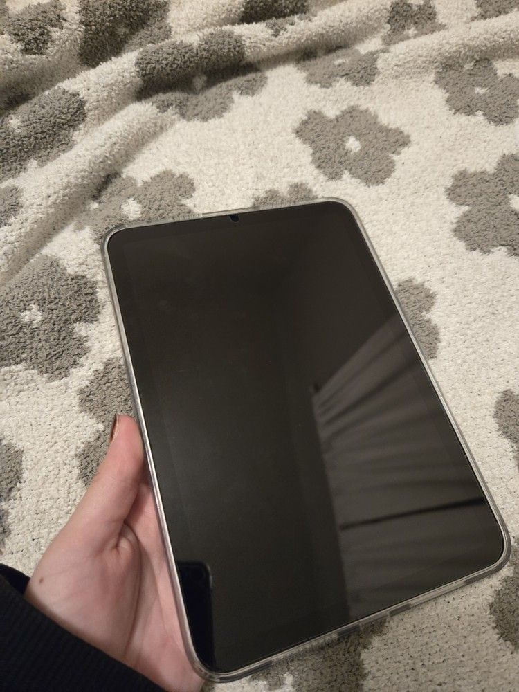 Ipad Mini 