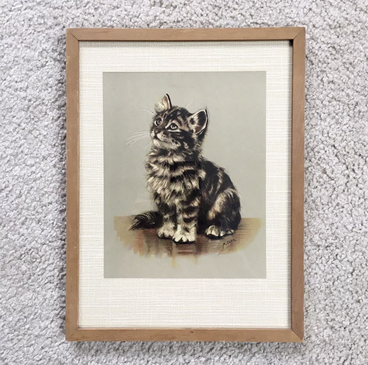 Vintage 1940s MABEL GEAR Long Hair Cat Kitten Framed Print w/ Glass 12.5 x 9.75”
