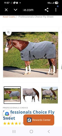Hoarse  Fly Sheet New