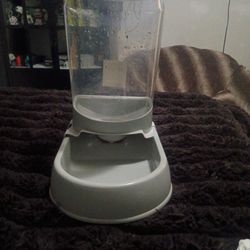 Self Filling Cat Water Bowl