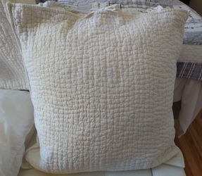 (2) 24x24 Pottery Barn Pillows & Pillow Cases
