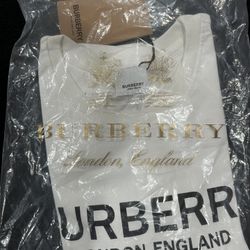 Burberry Shirt 