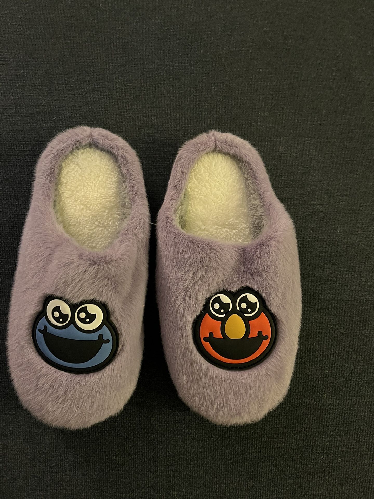 Sesame Street Slippers