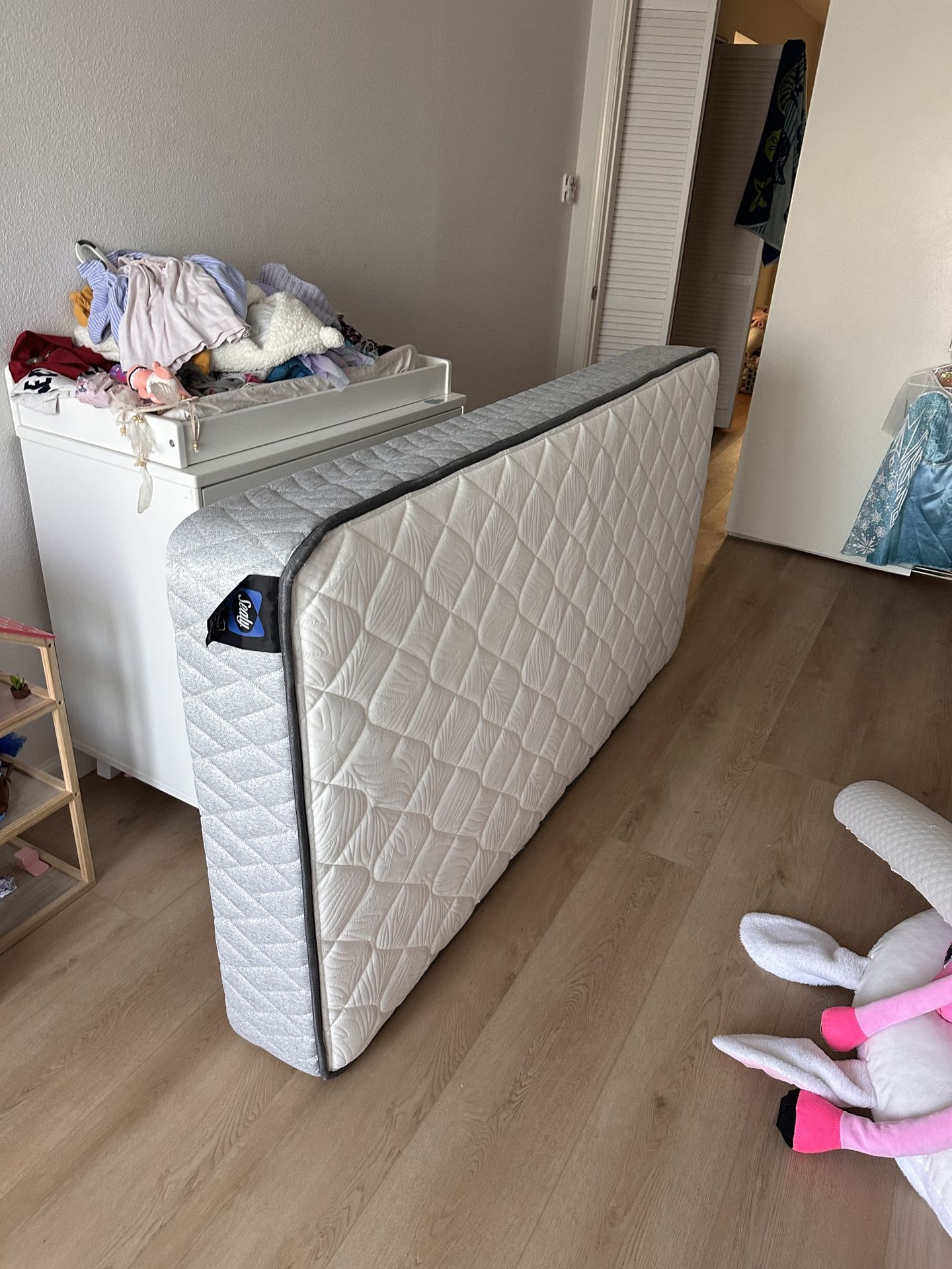 Sealy Essentials™ Sudley 8.5" Firm Mattress