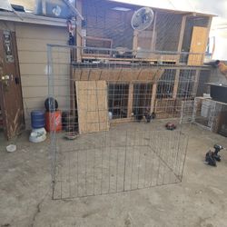 Enclosed Cage