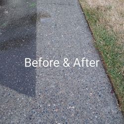 Driveway Cleaner
