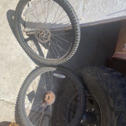 Mountain Bike Rims 24s