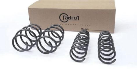 Adro Lowering Springs K5