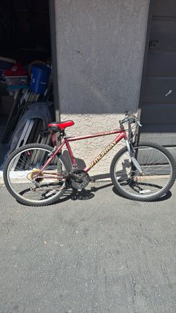 Murray Grand Mesa touring mountain bike