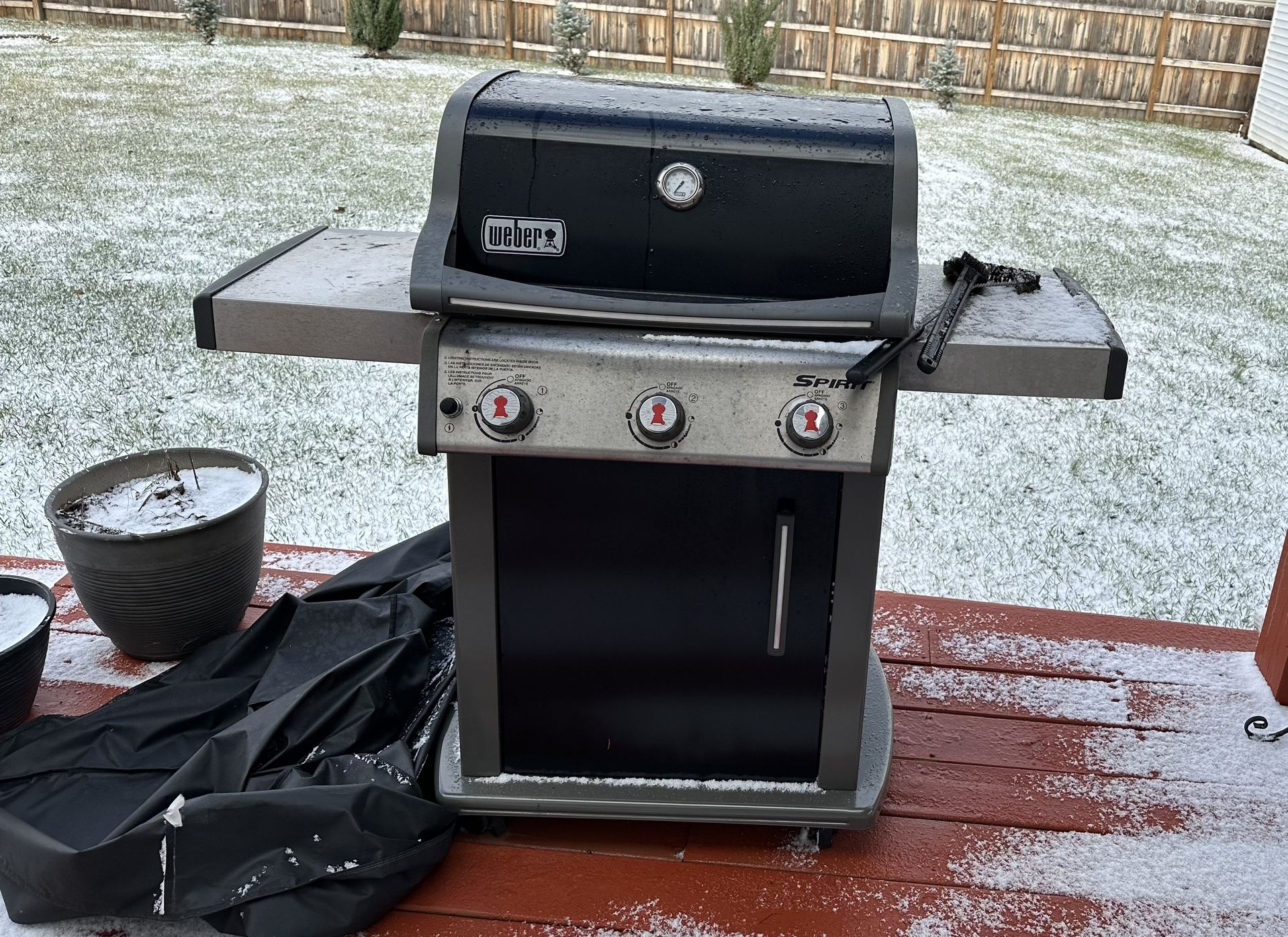Weber Grill