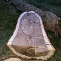 Fresh Cut Black Walnut..