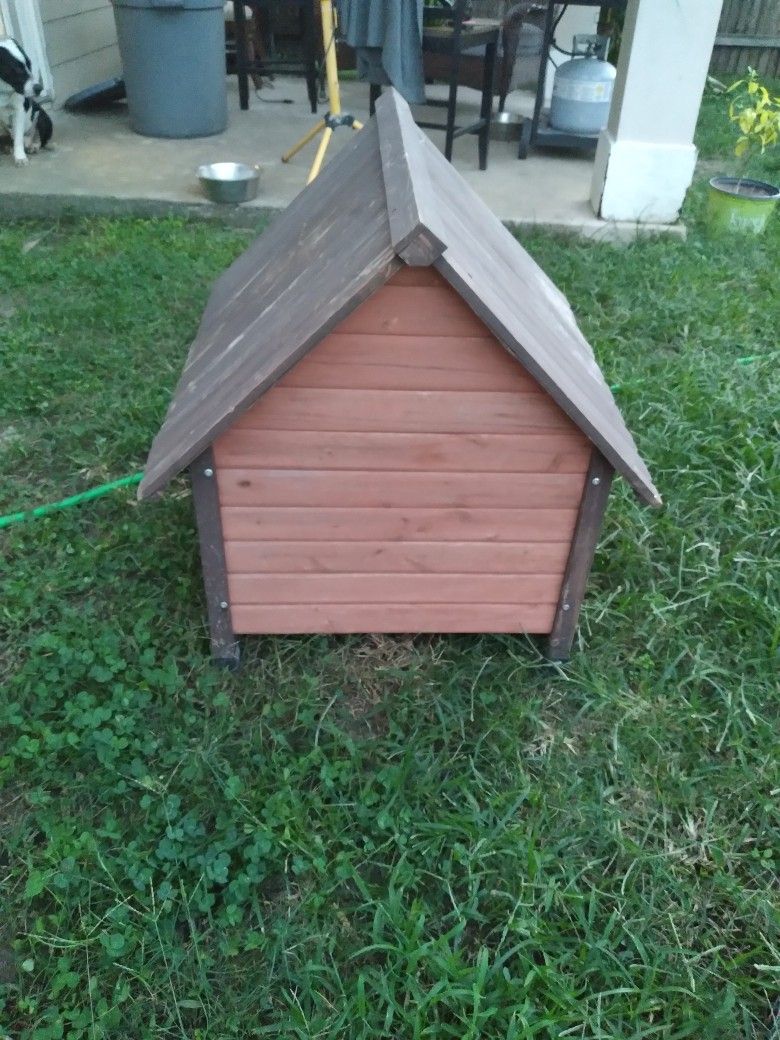 Dog House 