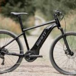 Giant Roam E-Bike