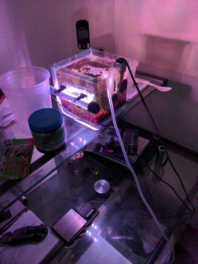 Small Half Gallons Setup Aquarium Fish Tank For Sale With Heater LED Lights And Filter Small One