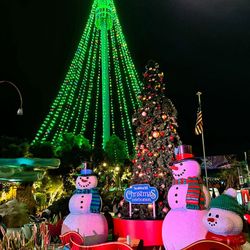 Christmas Celeb SeaWorld SD