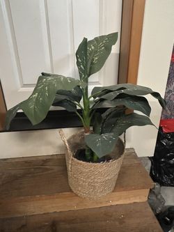 Faux plant