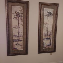 Palm Picture Frames 