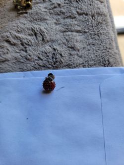 Vintage Lady Bug Pin