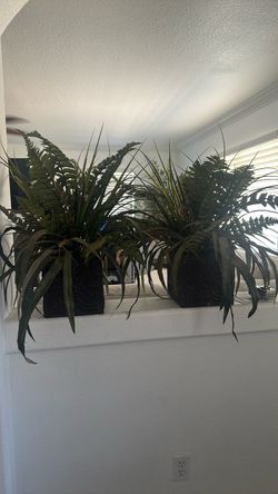 Artificial set of plants