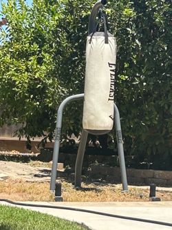 Eveast pounching Bag