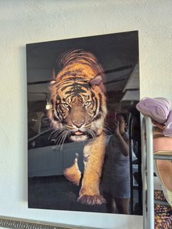Tiger wall canvas decor
