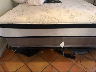 Brand new king bed, frame, & box