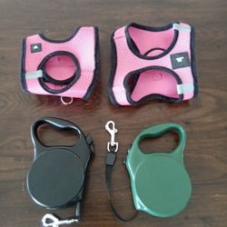 Leash and Harness for Small Dogs and Cats