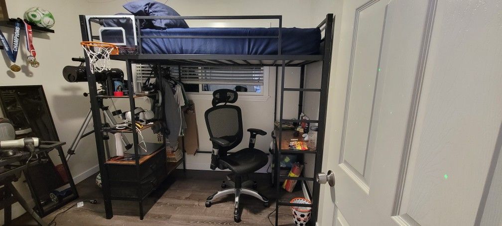 Free Bunk Bed/desk