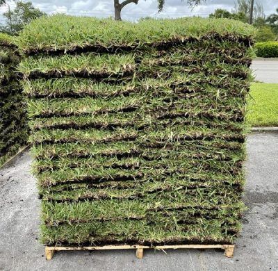 High Quality Sod - INSTALL ONLY