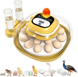 Egg Incubators(brand new)