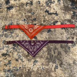 Dog  Collar Bundle