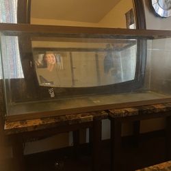 55 gallon fish tank With Filter And Supplies